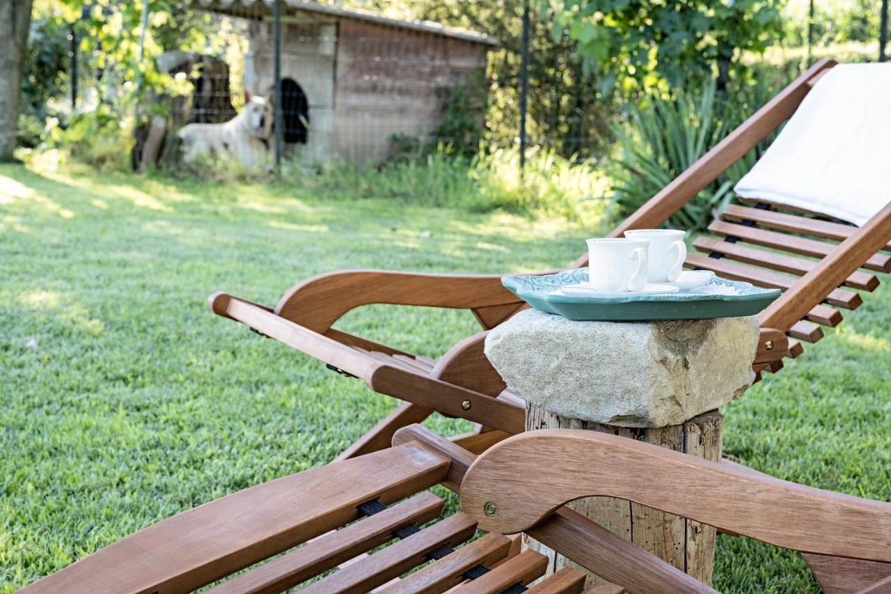 Villa Curte Nicia Nizza Monferrato Εξωτερικό φωτογραφία